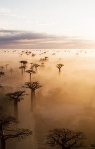 Africa & Indian Ocean