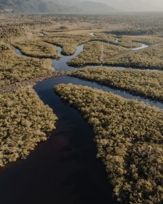 Südamerika und Amazonas